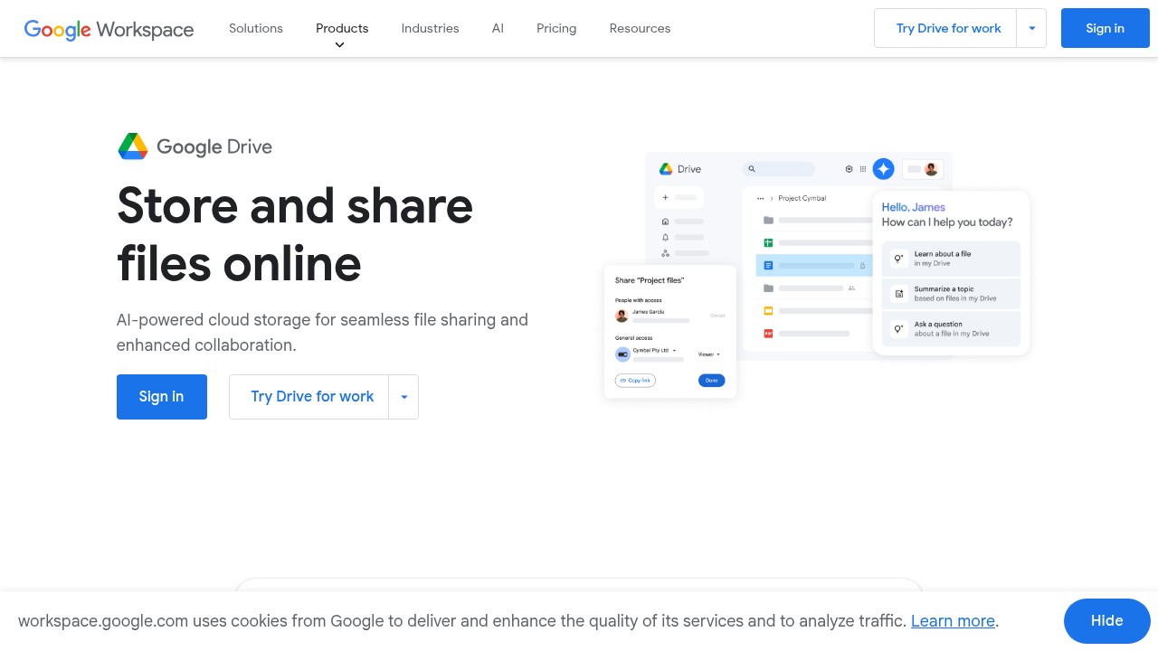 Google Drive Interface